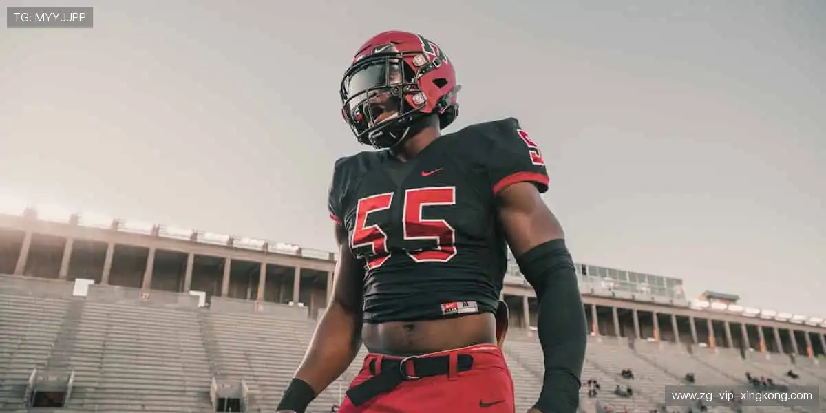 🎯 装备升级,战力翻倍!专业运动周边,为热爱保驾护航💪